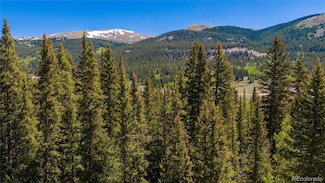 797 Peterson Dr Unit 11, Fairplay, CO 80440