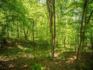 382 Robinson Springs Rd, Flora, MS 39071