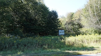 0 Mc Caw Rd Unit S1564665, Redfield, NY 13437