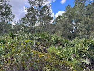 0 12th Ave Unit MFRV4945773, Deland, FL 32724