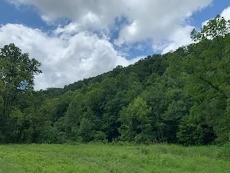0 Wartrace Rd, Whitleyville, TN 38588