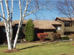 4620 Murray Hill Heights Rd Unit 20, Manchester, VT 05255
