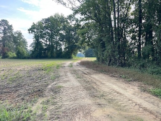 0 Parris Rd Unit LotWP002 20945165, Stantonsburg, NC 27883