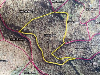Lot 70 Mountain Forest Estate Rd, Sylva, NC 28779