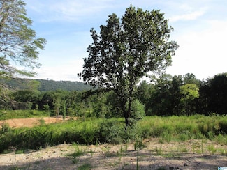 2550 Goss St Unit 1, Birmingham, AL 35211