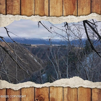 82-215 Alaska State Land Survey, Homer, AK 99603