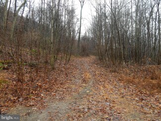 0 Timmons Rd Unit 1000144183, Spring Run, PA 17262