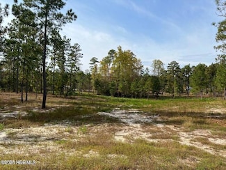 7018 Harrison Ln, West End, NC 27376