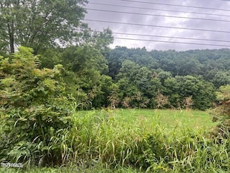 Tbd Rheatown Rd, Chuckey, TN 37641