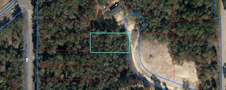 155 Palm Dr, Bronson, FL 32621