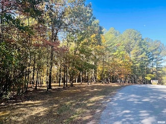 Lot 41 Luxor Landing Ln, Goreville, IL 62939