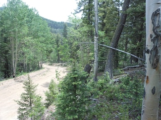 5597 Balleroy Rd, Sangre de Cri, CO 81133