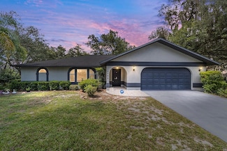 16789 SE 69th Ln, Ocklawaha, FL 32179