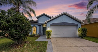12510 Sparkleberry Rd, Tampa, FL 33626
