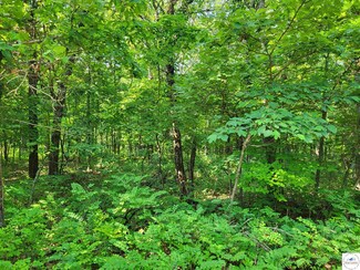 0 Kean Ln Unit Lane 2371 100471, Union Township, MO 65326