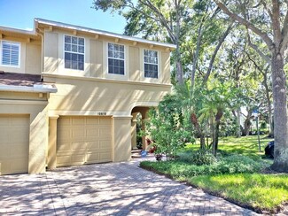 10616 Shady Falls Ct, Riverview, FL 33578
