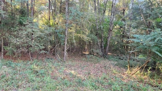 Lot 15 Lakeshore Dr, Tuskegee, AL 36083