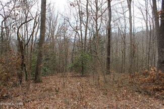 0 Carol Dr Unit 1286110, Jamestown, TN 38556
