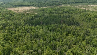TBD Speckled Trout Rd, Sandstone, MN 55072