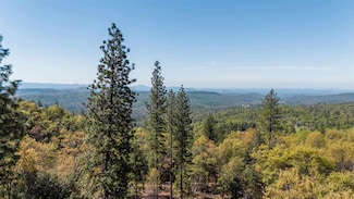23385 Pack Trail Rd, Cedar Ridge, CA 95370