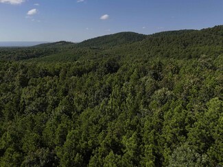 Lot 8 Polk County Road 78, Mena, AR 71953