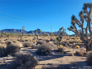 Lot 279B N Driftwood Dr, Meadview, AZ 86444