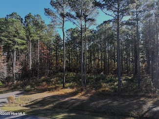 213 Nautical, Edenton, NC 27932