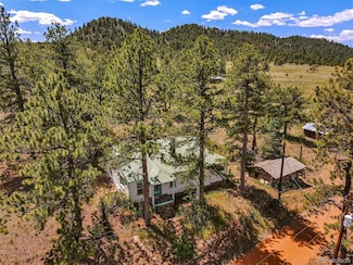 9091 County Road 271, Westcliffe, CO 81252