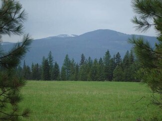 Lot 20 Timber Meadows Ln, Trout Creek, MT 59874