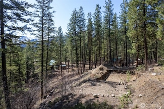 94 Homestead Rd, Winthrop, WA 98862