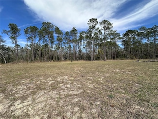 0 NE 127th Ct Unit 22674843, Williston, FL 32696