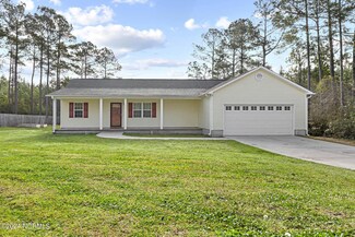 177 Nelson Park Rd, Maple Hill, NC 28454