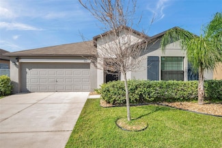 4201 Globe Thistle Dr, Tampa, FL 33619