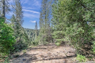 21670 Clute Canyon Rd, Volcano, CA 95689