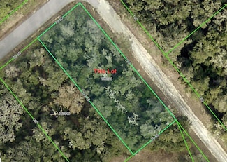 0 Smallman St Unit MFRTB8381244, Webster, FL 33597