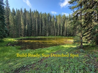 Site 27 Backwoods Ln Unit 27, Ophir, CO 81435