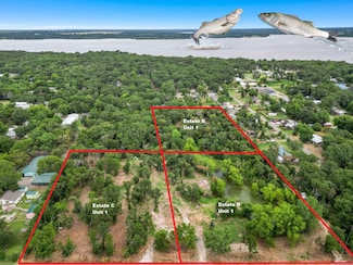 TBD George a Green Dr, Sherwood Shores, TX 76245