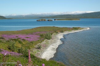 L2-3 N No Road Trail, Pilot Point, AK 99649