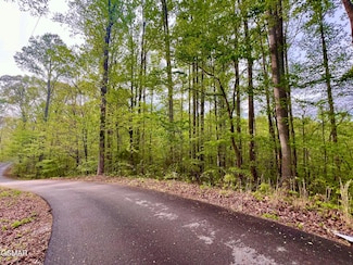 Lot 76, 77 Polly Mountain Rd, Madisonville, TN 37354