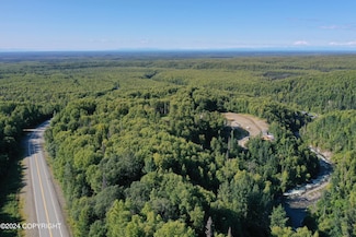 16613 N Woodward Cir, Willow, AK 99688