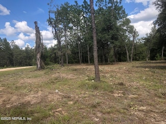 173 E Washington St, Hawthorne, FL 32640