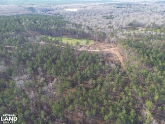 0 Mississippi 33, Fayette, MS 39069
