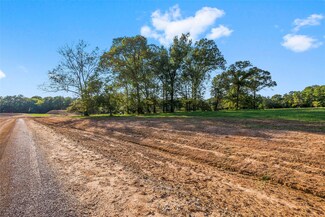 6015 Alans Memorial Ln, New Waverly, TX 77358