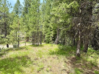 53 Landale Ln Unit 37, Cascade, ID 83611