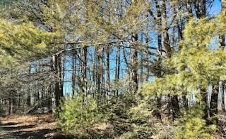 0 Greenwood St, Franklin Township, PA 18235