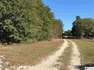 Lot 25 Norwood Farms, McBee, SC 29101