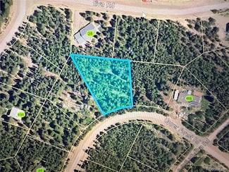 1010 Upper Forest Rd, Saint Mary's, CO 80452