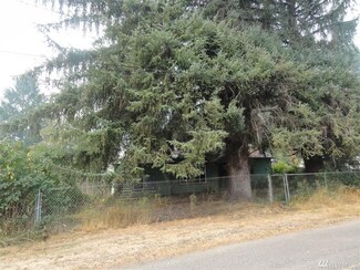 185 Young Rd, Randle, WA 98377