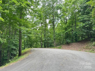 000 Ruffed Grouse Ln, Waynesville, NC 28786