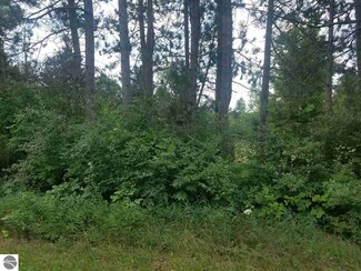 10263 Homestead Rd, Beulah, MI 49617